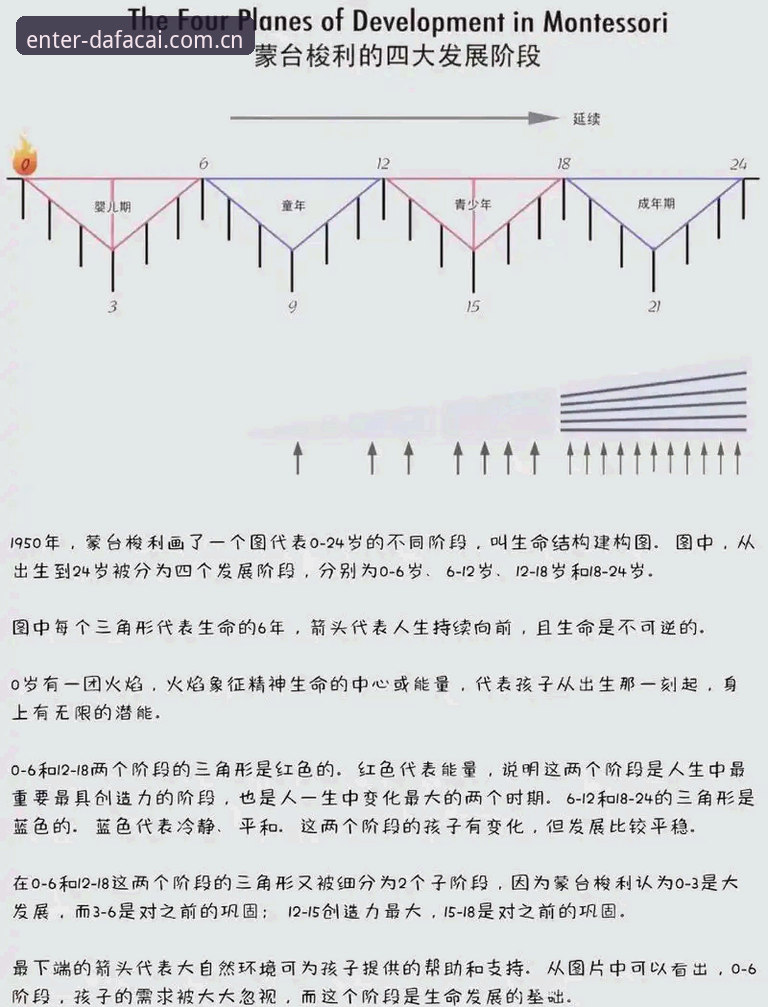 从46.1 MB到指尖流转：大发彩票中国官方坐标注册通道与本地版本的真实对比